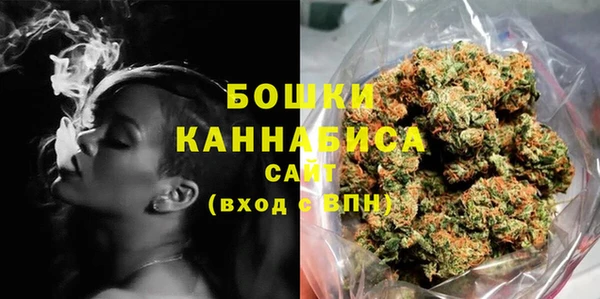 амф Грязовец
