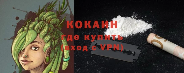 амф Грязовец