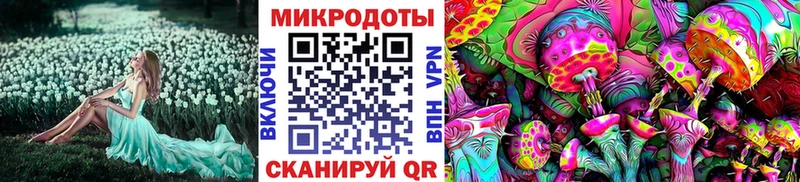 Галлюциногенные грибы мицелий MEGA Эртиль