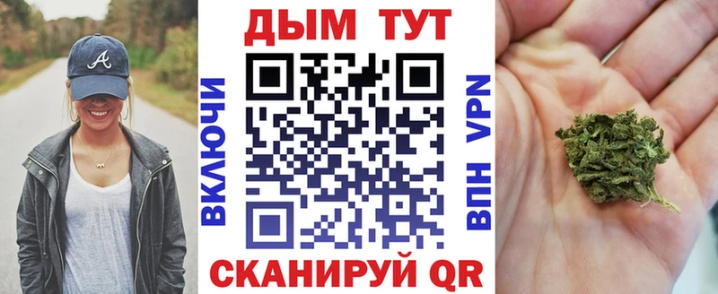 Шишки марихуана семена  где можно купить наркотик  Эртиль 